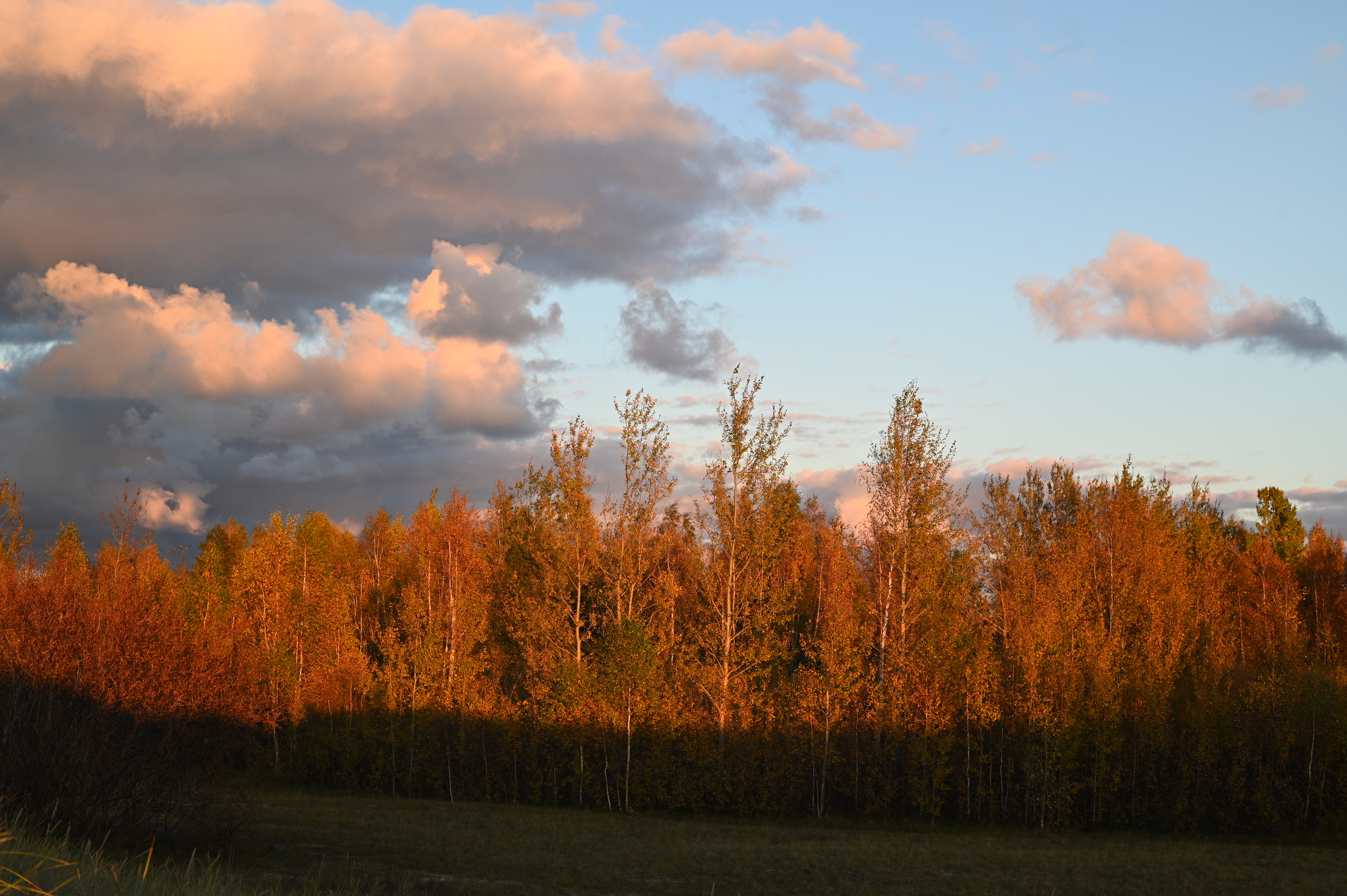 2025/10/18 - walk/DSC_0376.JPG